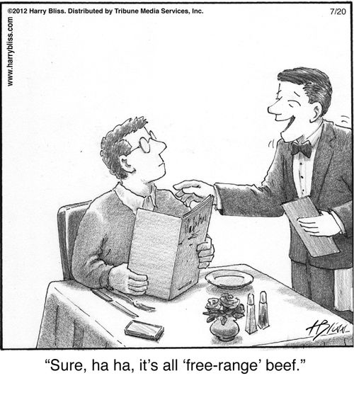 "Sure, ha ha, it’s all ‘free-range’ beef."
