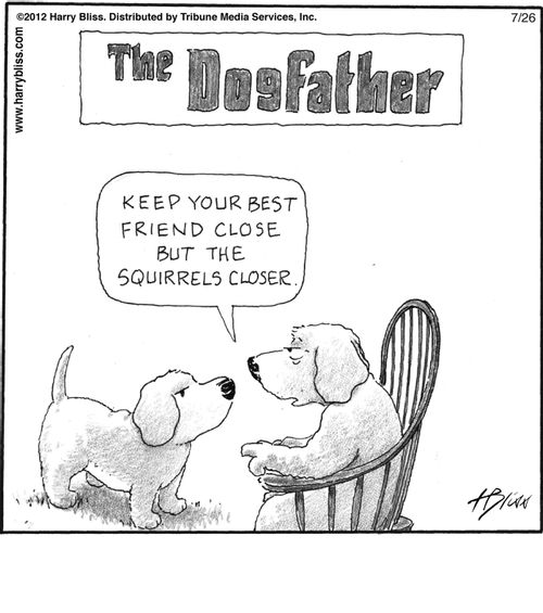 "Keep your best friend close but the squirrels closer."