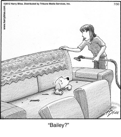 "Bailey?"