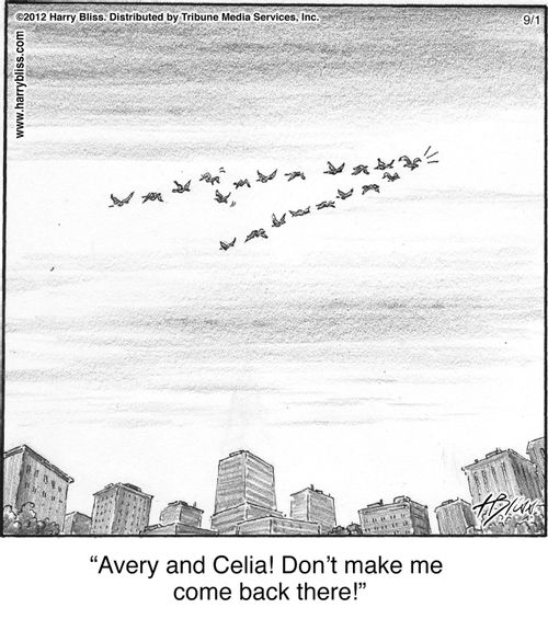 "Avery and Celia! Don’t make me come back there!"