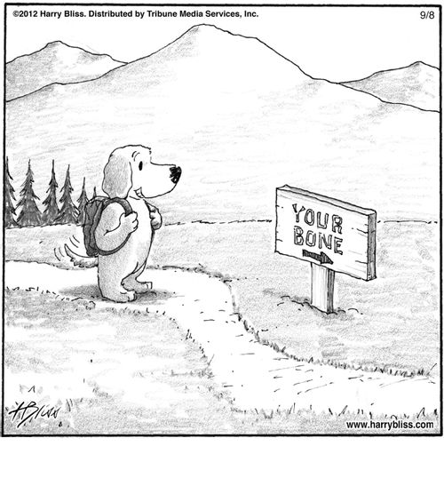 "Your bone."