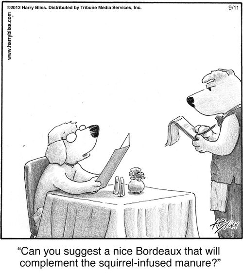 "Can you suggest a nice Bordeaux that will complement the squirrel-infused manure?"