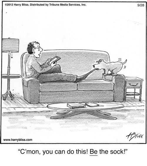 "C'mon, you can do this! Be the sock!"