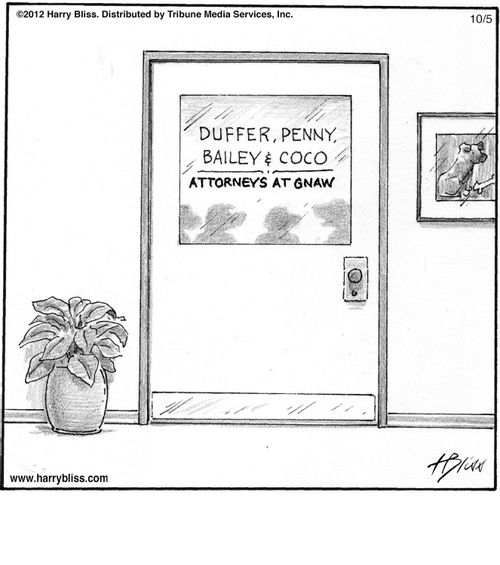 "Duffer, Penny, Bailey & Coco. Attorneys at Gnaw."