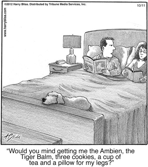 "Would you mind getting me the Ambien, the Tiger Balm, three cookies, a cup of tea and a pillow for my legs?"