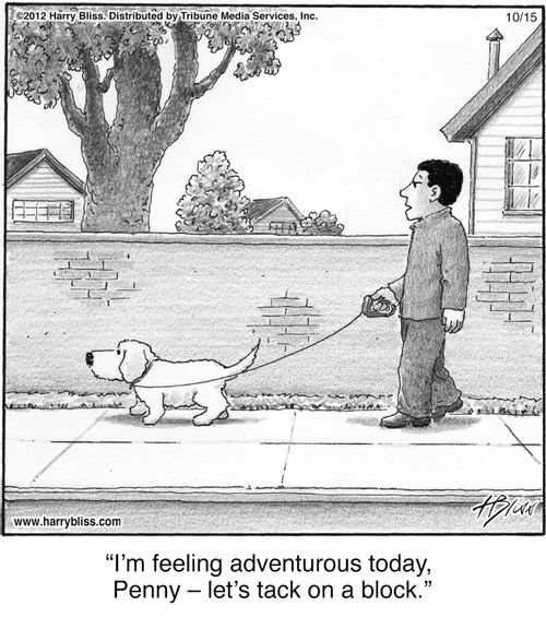 "I'm feeling adventurous today, Penny – let's tack on a block."