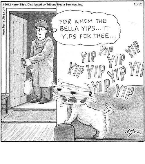 "For whom the Bella yips... it yips for thee..."