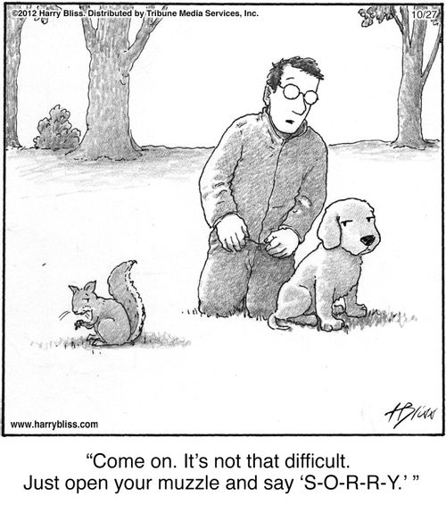 "Come on. It’s not that difficult. Just open your muzzle and say ‘S-O-R-R-Y.’"