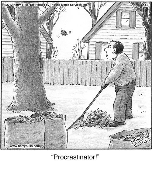 "Procrastinator!"