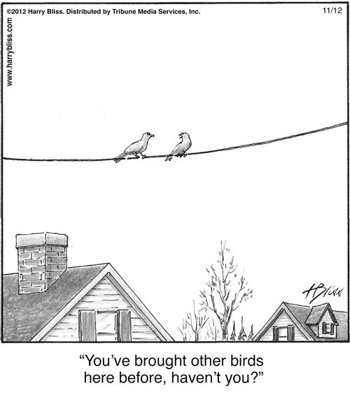 "You’ve brought other birds here before, haven’t you?"