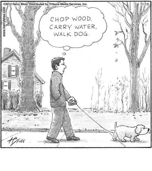 "Chop wood, carry water, walk dog."