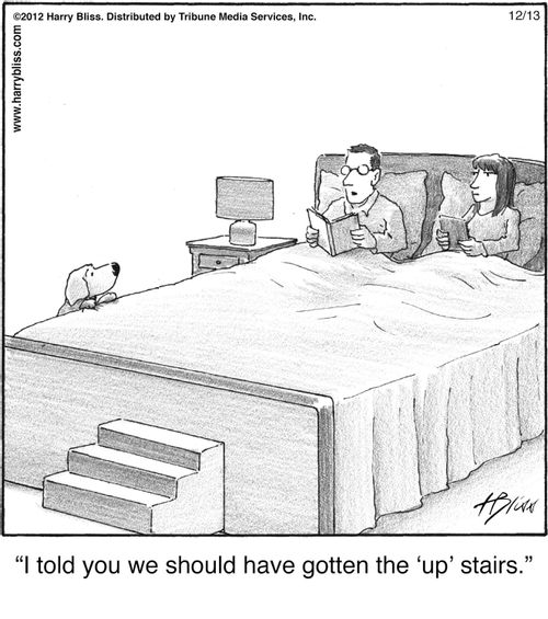 "I told you we should have gotten the ‘up’ stairs."