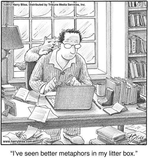"I’ve seen better metaphors in my litter box."