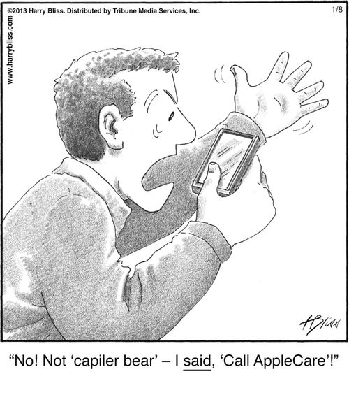 "No! Not 'capiler bear'—I said, 'Call AppleCare'!"