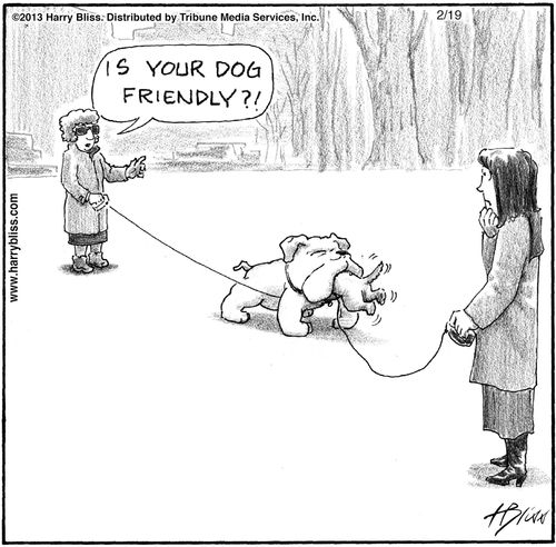 "Is your dog friendly?!"