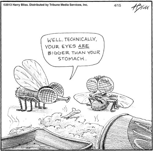 "Well, technically, your eyes are bigger than your stomach."