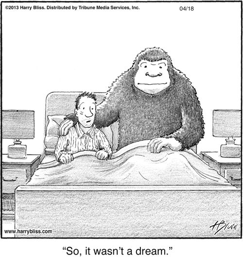 "So, it wasn’t a dream."