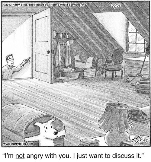 "I'm not angry with you. I just want to discuss it."