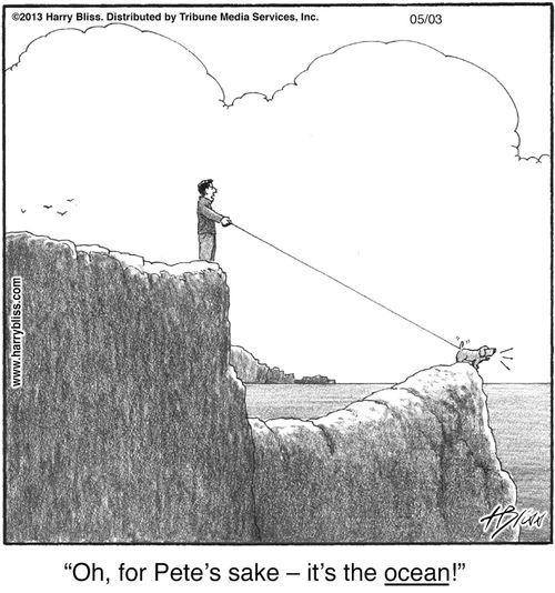 "Oh, for Pete’s sake – it’s the ocean!"