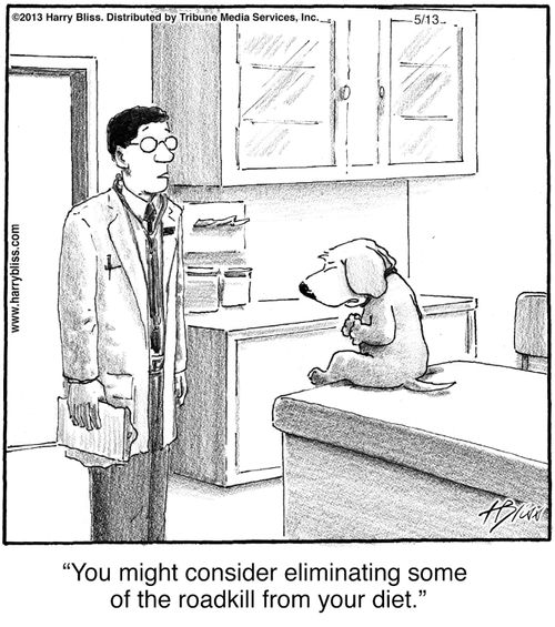 "You might consider eliminating some of the roadkill from your diet."