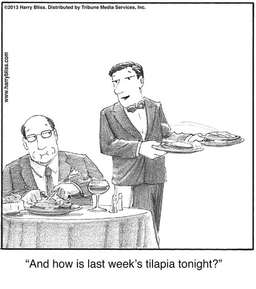 "And how is last week's tilapia tonight?"
