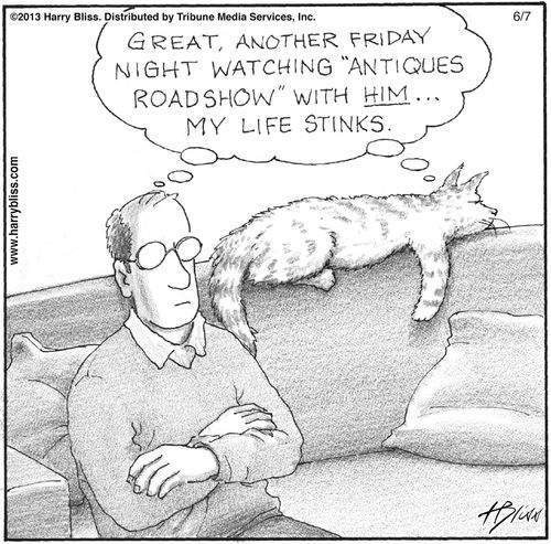 "Great, another Friday night watching 'Antiques Roadshow' with him... My life stinks."