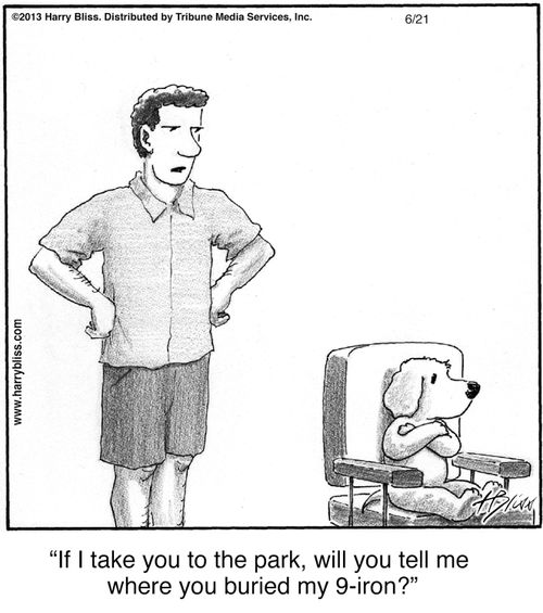 "If I take you to the park, will you tell me where you buried my 9-iron?"