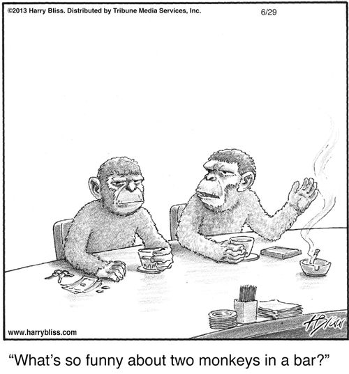 "What's so funny about two monkeys in a bar?"