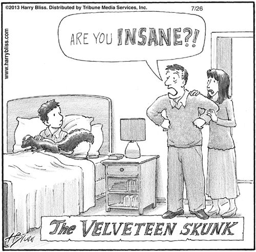 "Are you insane?!"  The Velveteen Skunk