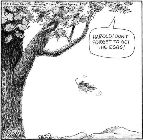 "Harold! Don't forget to get the eggs!"
