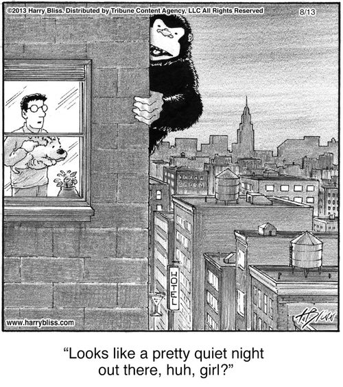 "Looks like a pretty quiet night out there, huh, girl?"
