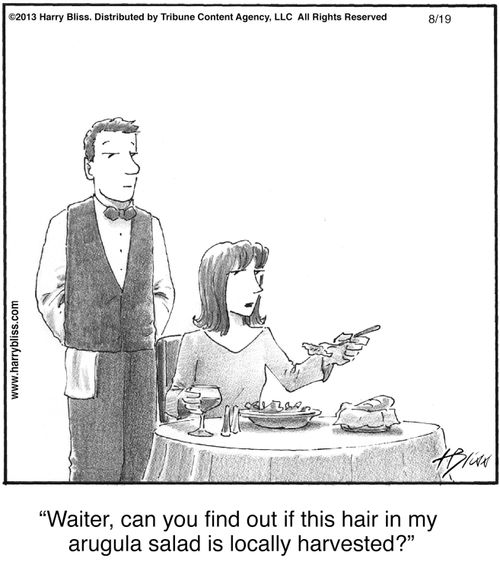 "Waiter, can you find out if this hair in my arugula salad is locally harvested?"