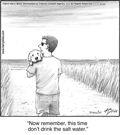 "Now remember, this time don’t drink the salt water."