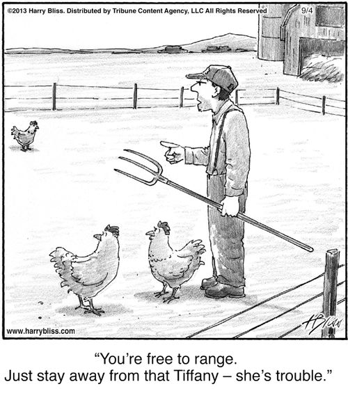 "You're free to range. Just stay away from that Tiffany—she's trouble."