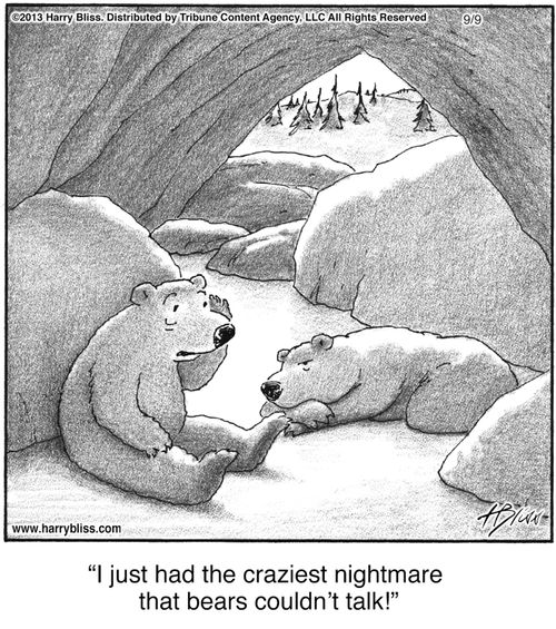 "I just had the craziest nightmare that bears couldn’t talk!"