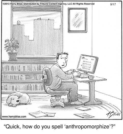 "Quick, how do you spell ‘anthropomorphize’?"