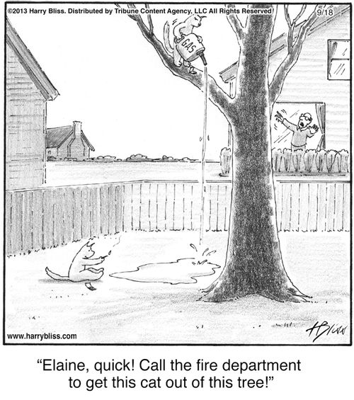 "Elaine, quick! Call the fire department to get this cat out of this tree!"