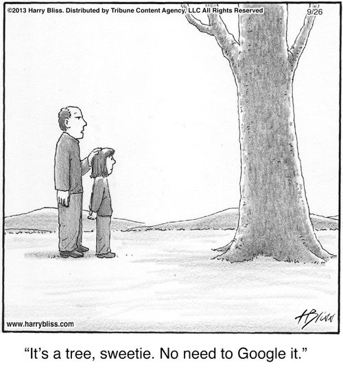 “It's a tree, sweetie. No need to Google it.”