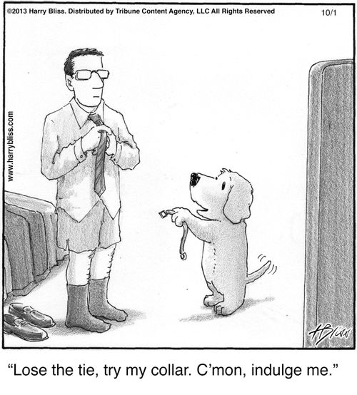 "Lose the tie, try my collar. C’mon, indulge me."