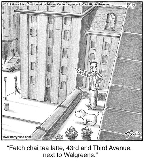 "Fetch chai tea latte, 43rd and Third Avenue, next to Walgreens."