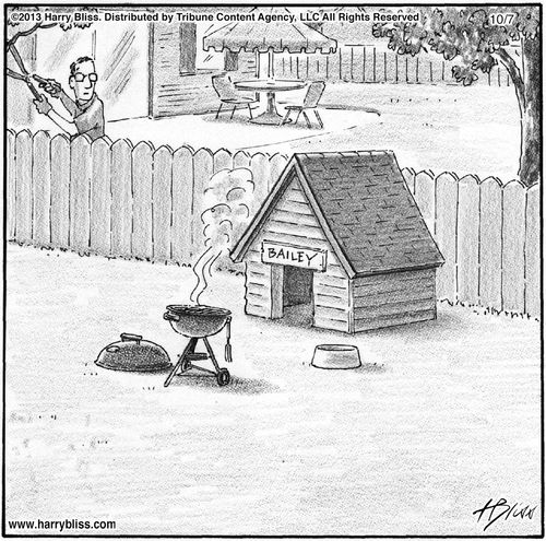 Dog BBQ