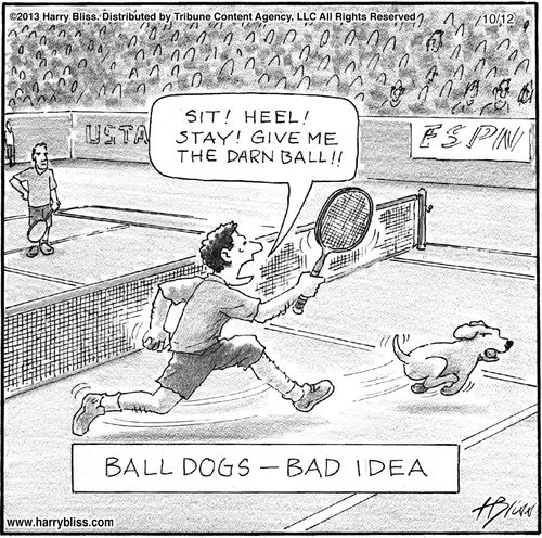"Sit! Heel! Stay! Give me the darn ball!!"   "Ball dogs – bad idea"