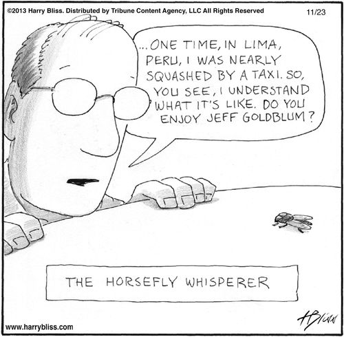 "One time, in Lima, Peru, I was nearly squashed by a taxi. So, you see, I understand what it's like. Do you enjoy Jeff Goldblum?"  "The horsefly whisperer"