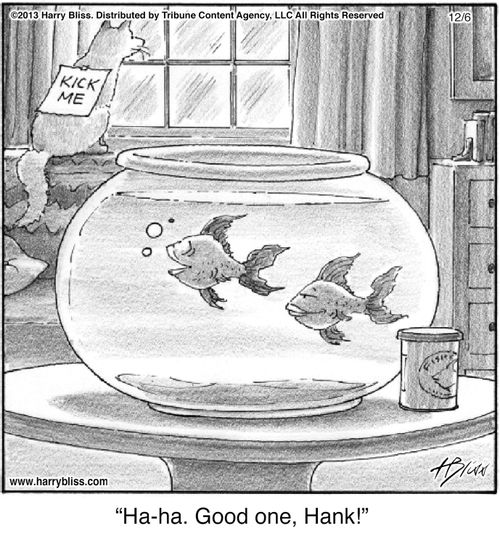 "Ha-ha. Good one, Hank!"