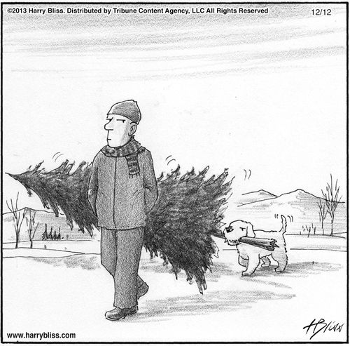 "Put the tree down, Bob. We’ll go for a walk after you shower."