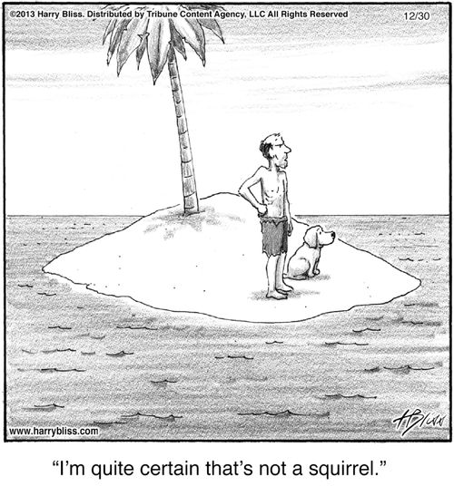 "I'm quite certain that's not a squirrel."