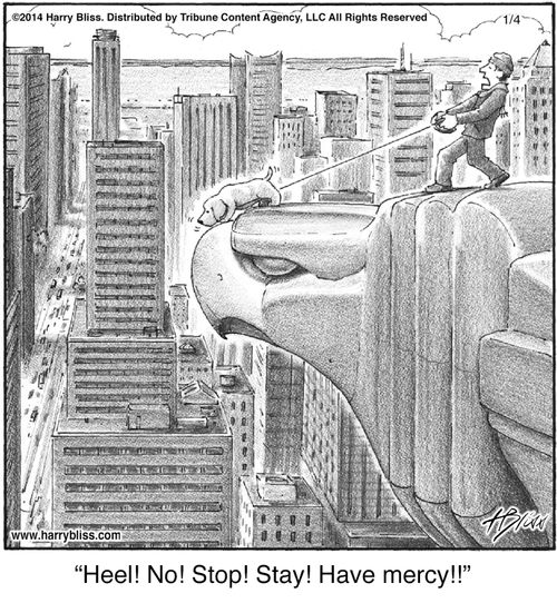 "Heel! No! Stop! Stay! Have mercy!!"