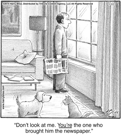 "Don’t look at me. You’re the one who brought him the newspaper."