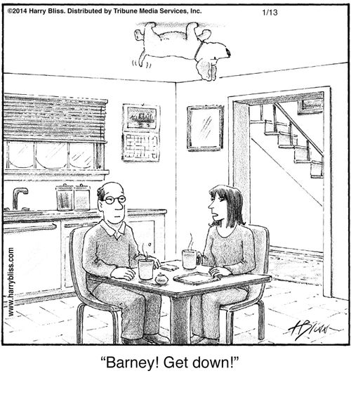 "Barney! Get down!"