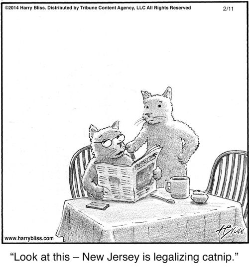 "Look at this – New Jersey is legalizing catnip."